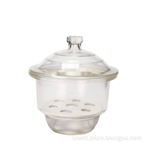 Glass Desiccator with Porcelain Plate and Lid: A Comprehensive Guide and Product Search